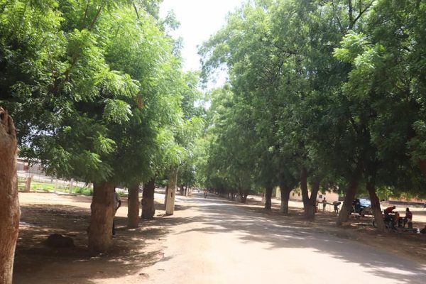 Belles rues de Yagoua